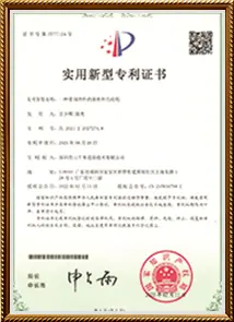 Honors and Qualifications